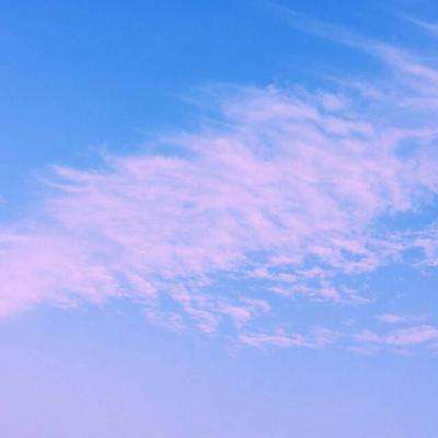 2023年新澳门今晚开特马手机app下载截图